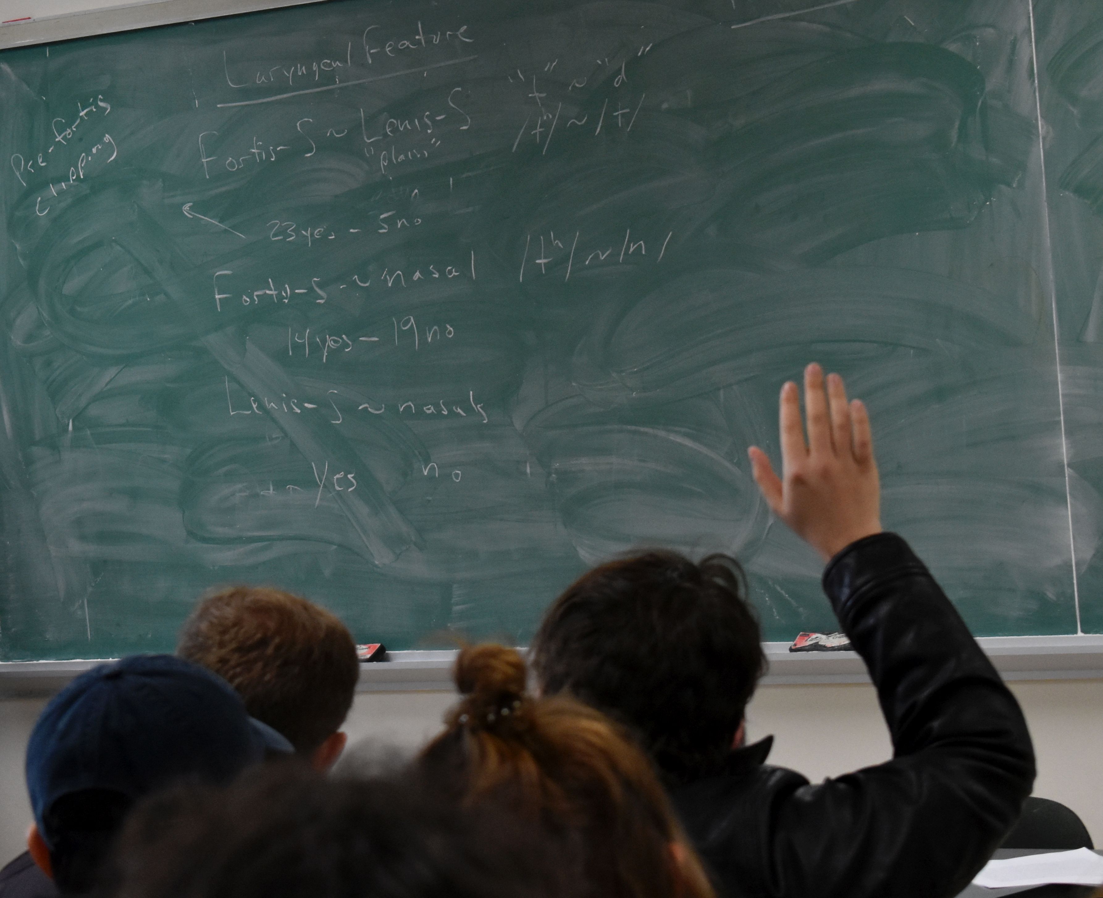 Students in Phonology class