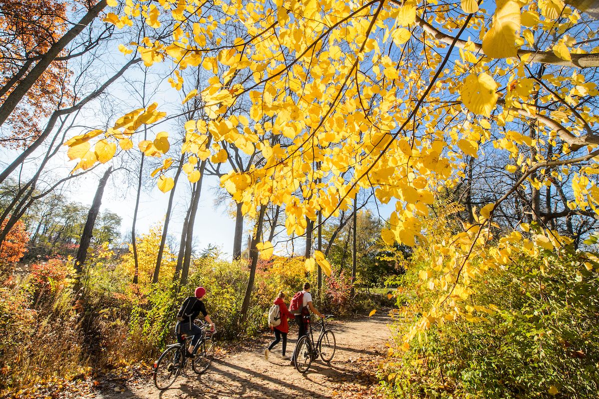 Bicyclists on the Lakeshore Path in Fall