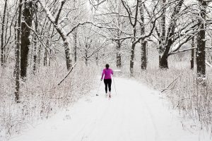 Skier in the UW-Madison Arboretum