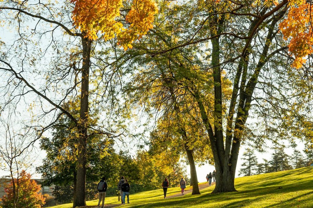 campus trees and students