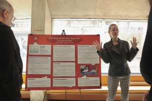 Poster session at WiGL 17