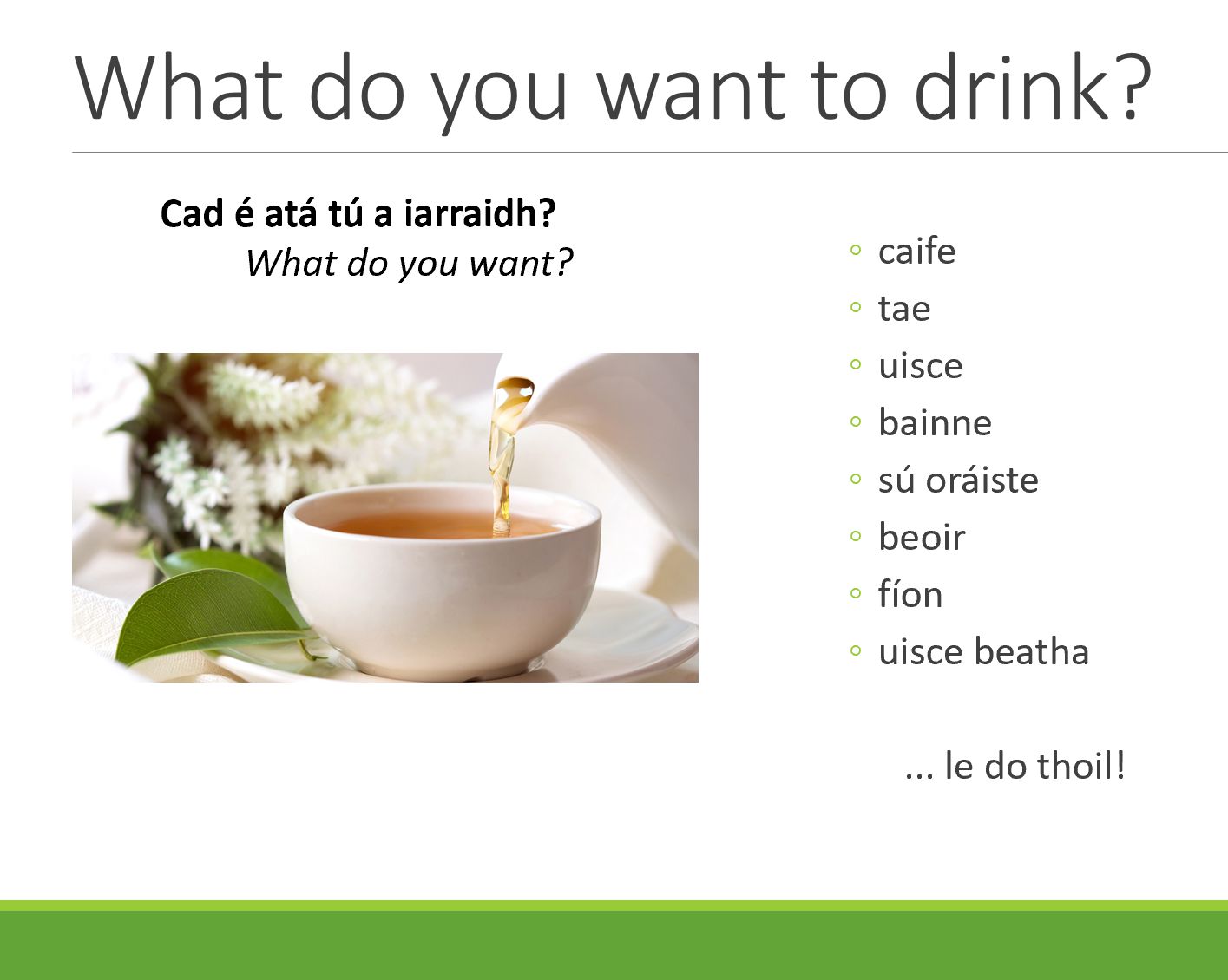 Example class slide, showing how to offer someone a drink in Irish